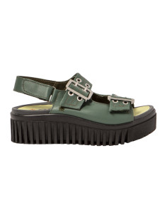 BRIGHTON 1579 foliage