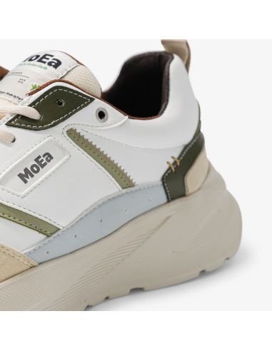 GEN5 CACTUS BLEND multi