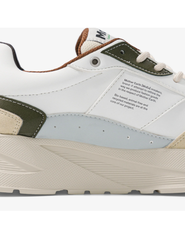 GEN5 CACTUS BLEND multi