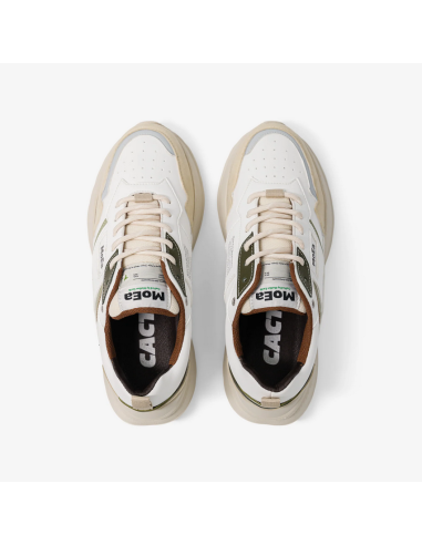 GEN5 CACTUS BLEND multi