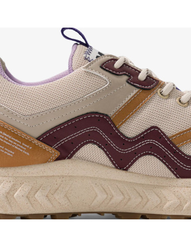 GEN7 CORN x GRAPES brown purple