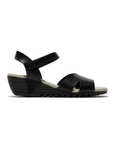 OLLA black
