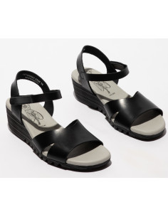 OLLA black 2