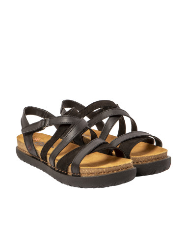 RODES 1714 total black