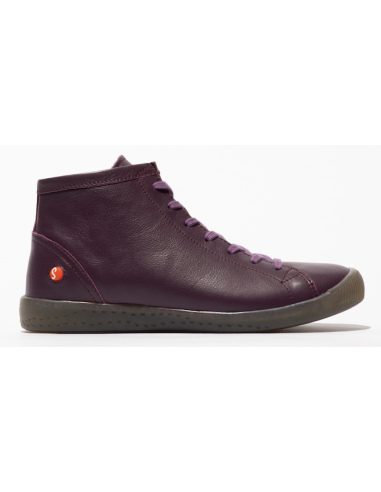 IBBI purple