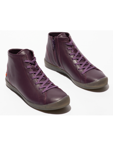 IBBI purple