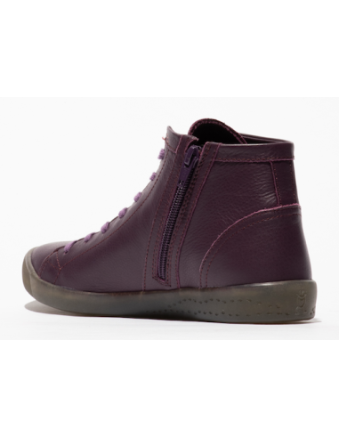 IBBI purple