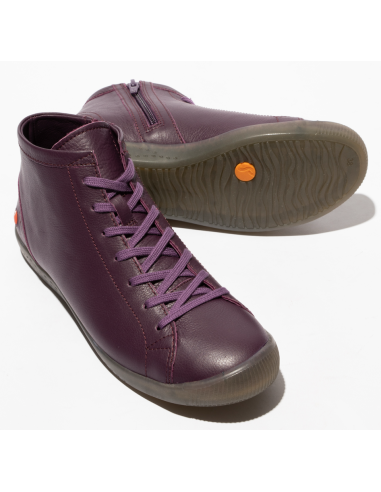 IBBI purple