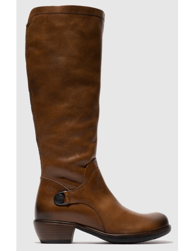 MISTRY camel