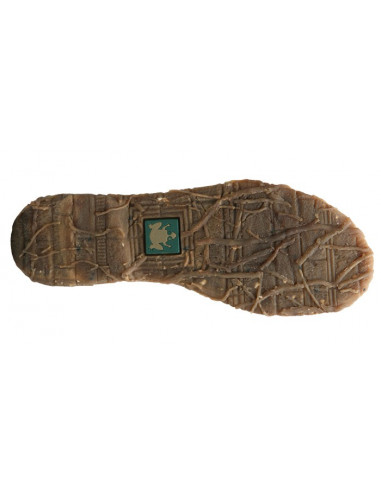 EL NATURALISTA ANGKOR 974