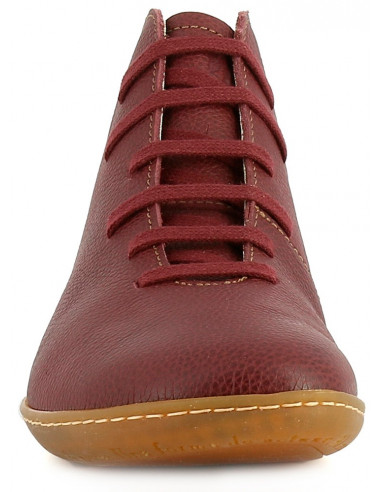 EL NATURALISTA EL VIAJERO 267