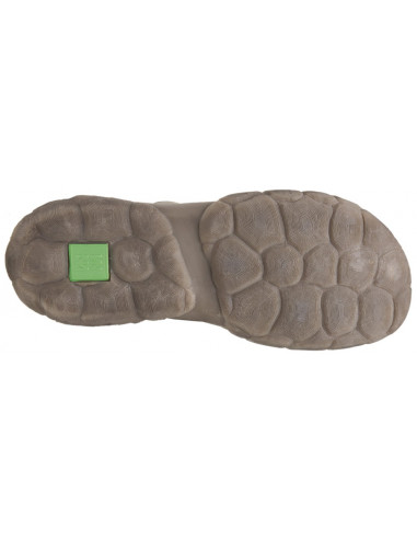 EL NATURALISTA TURTLE 5083