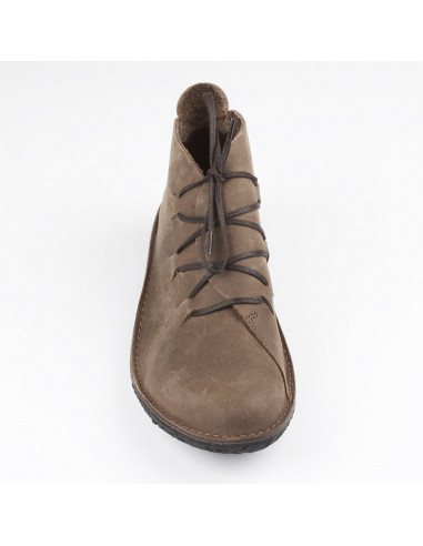 LOINTS OF HOLLAND FUSION 951