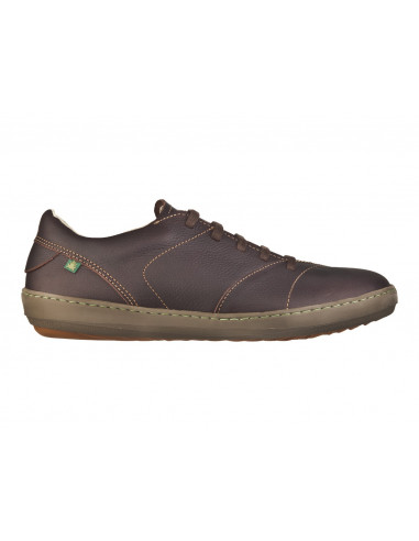 METEO 211 Brown